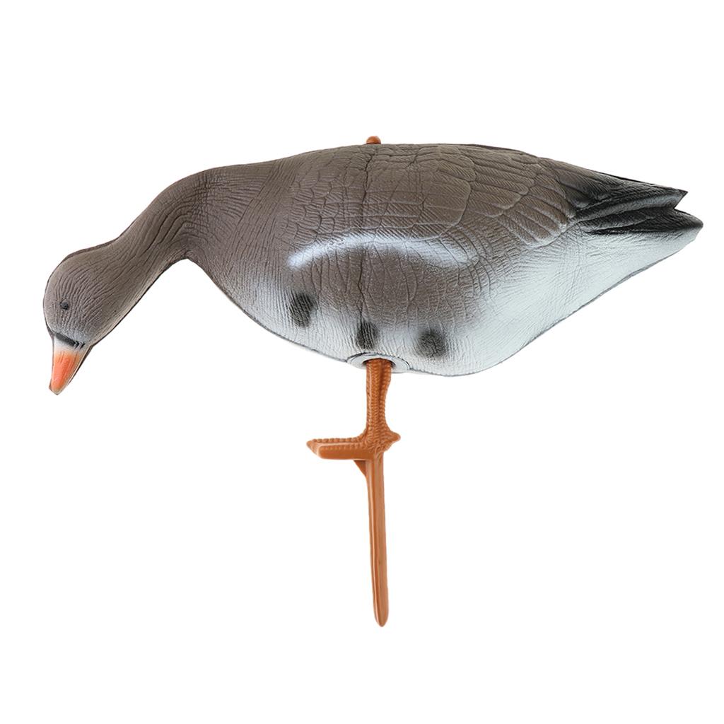 Hunting & Outdoor Supplies Carterton Reviews - Señuelo Plegable para Pavo y Ganso,