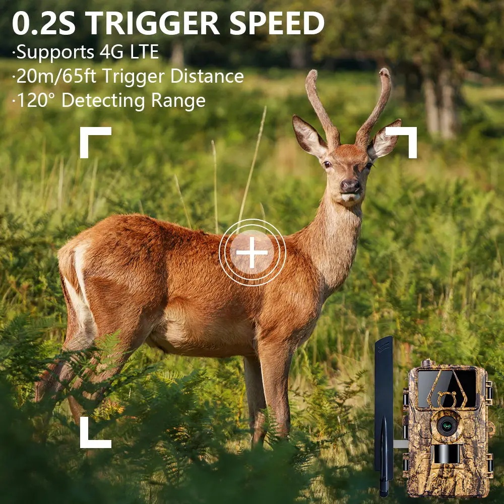 Pr801 4G red de observación cá - Outdoor Hunting House reseña y precio