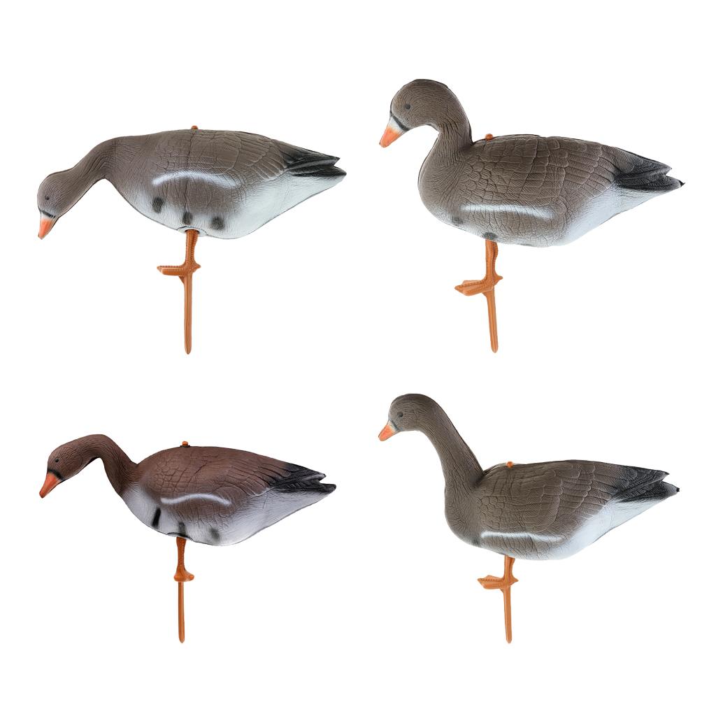 Señuelo Plegable para Pavo y G - Hunting & Outdoor Supplies Carterton Reviews reseña y precio