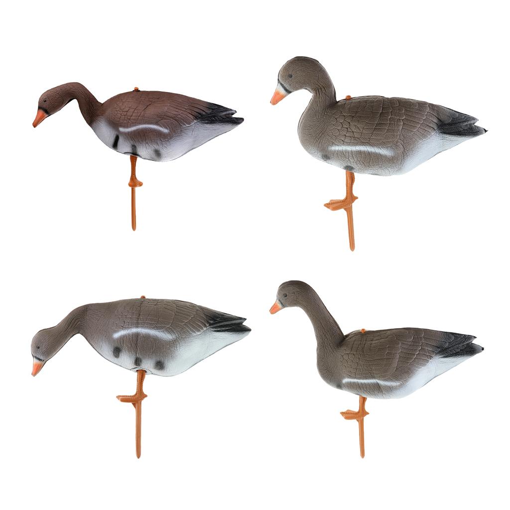 Señuelo Plegable para Pavo y G - Hunting & Outdoor Supplies Carterton Reviews reseña y precio