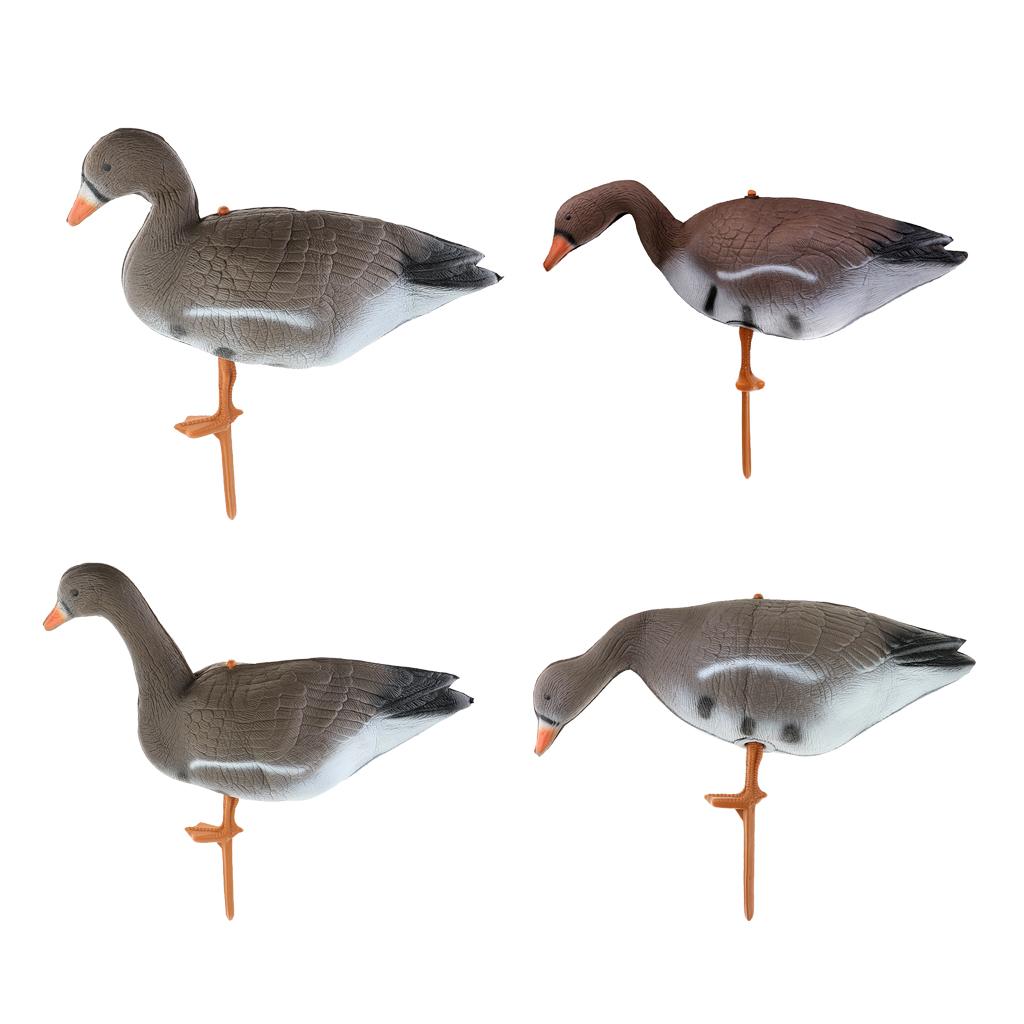 Señuelo Plegable para Pavo y G - Hunting & Outdoor Supplies Carterton Reviews reseña y precio
